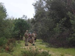 2025-06-01 THE GAME - OPERATION TRACKING DOG